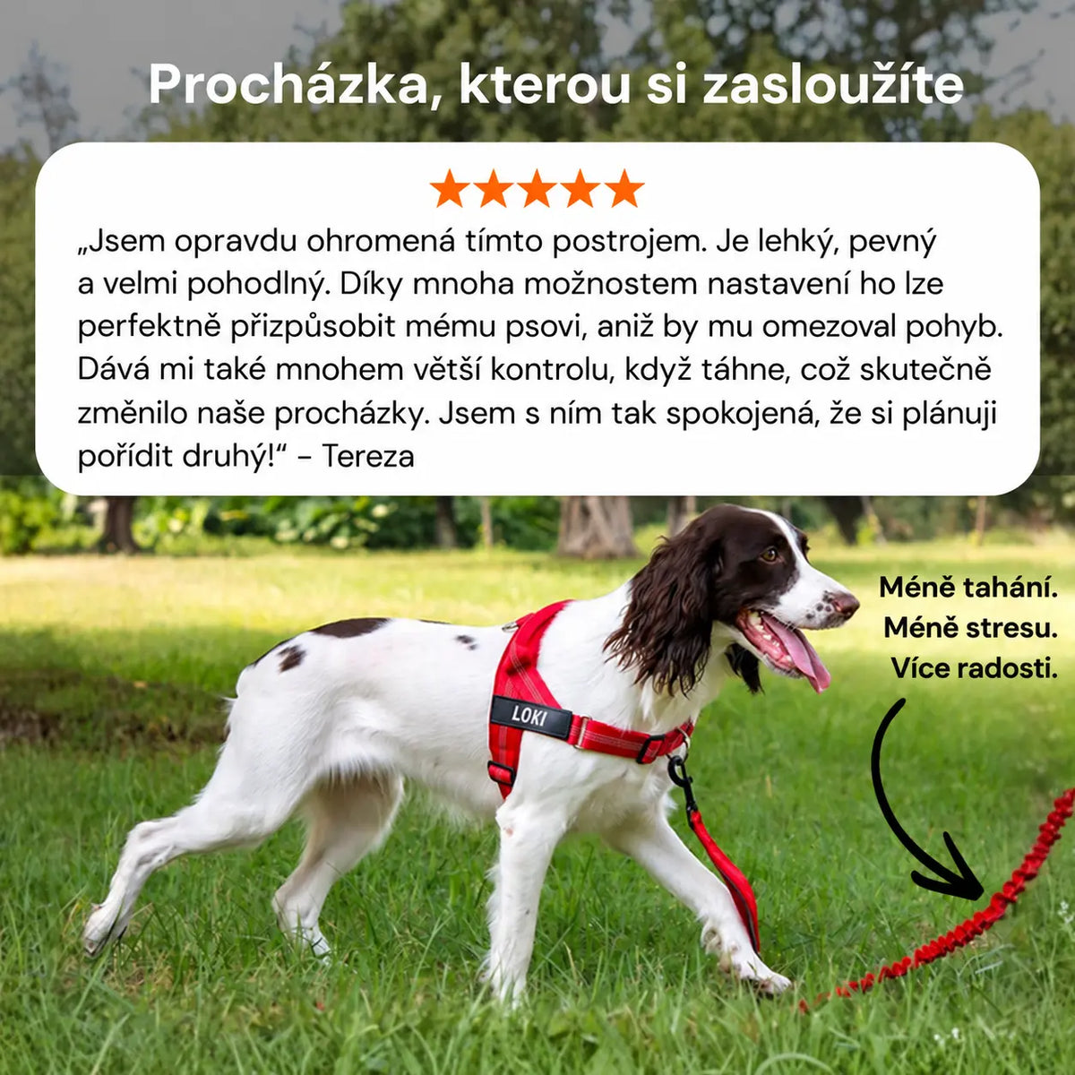 Mewvik Postroj proti tahání